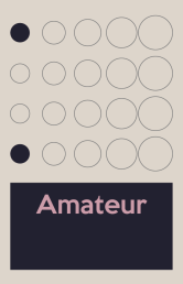 هنرمند آماتور (Amateur Artist) | 