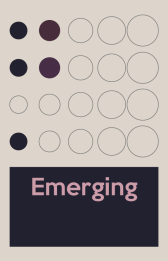 هنرمند نوپا (Emerging Artist) 