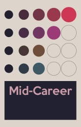 هنرمند با تجربه (Mid-Career Artist) 